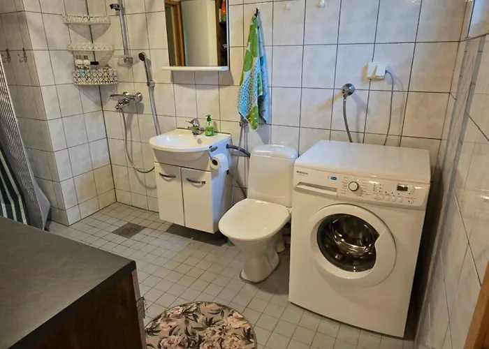 Vanha Myllaerin Torppa Sulkava (Southern Savonia)